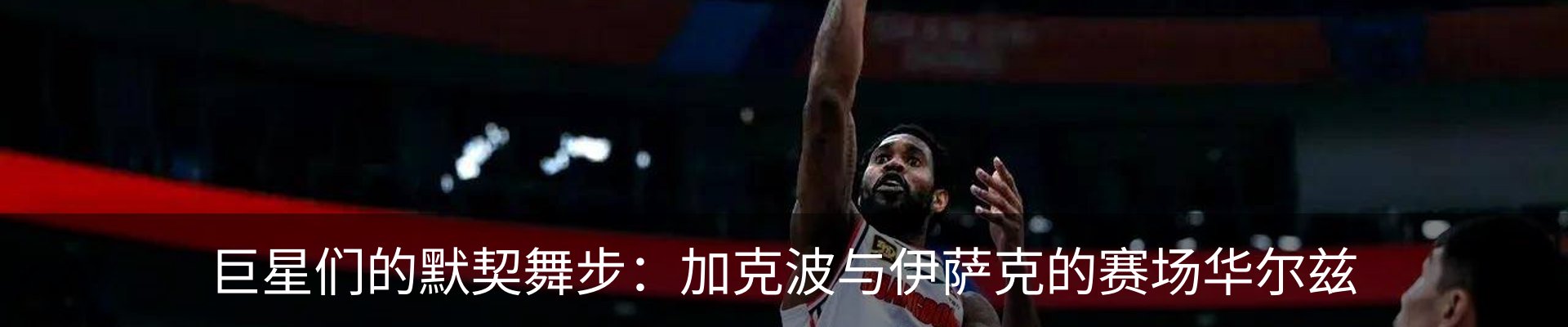 最新动态