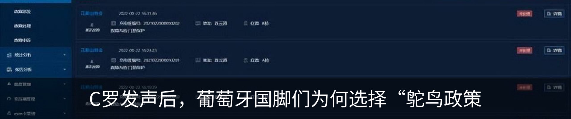 最新动态